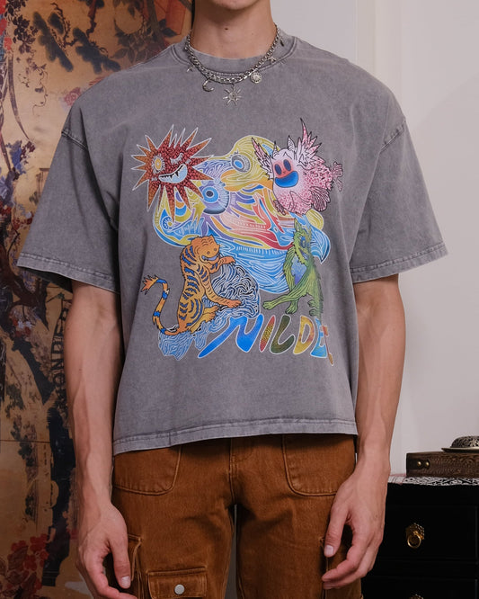 Mythical creatures Grey crop T-shirt
